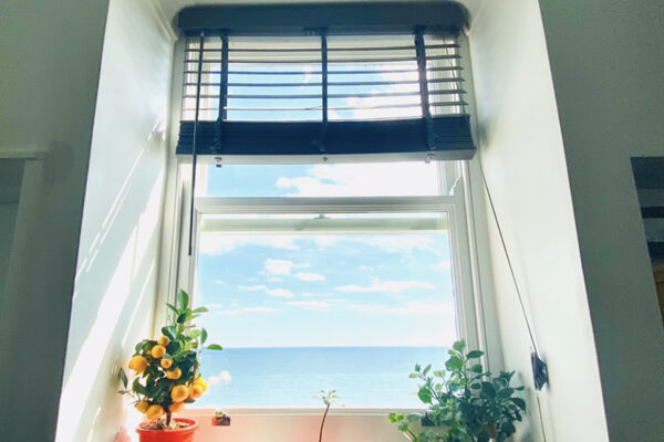 sea view window film