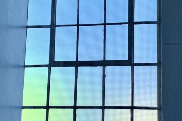 window film greenworks